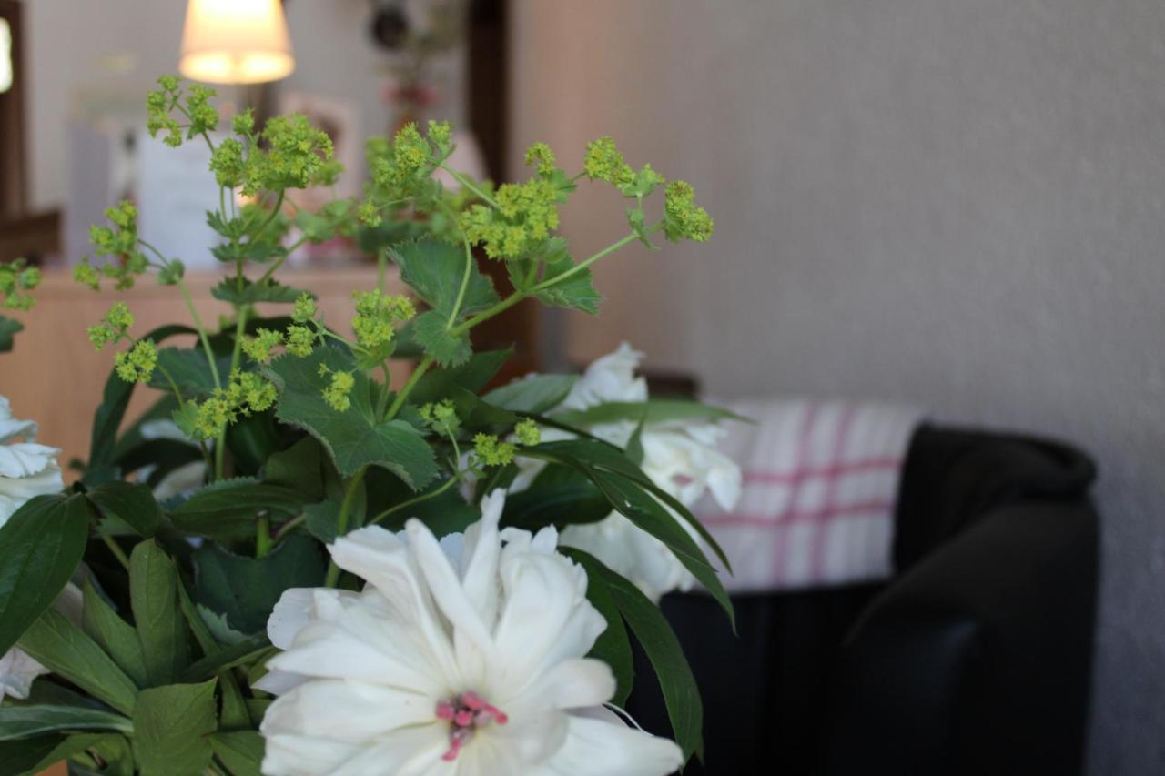 Landhotel Hubertus Unterelsbach 외부 사진