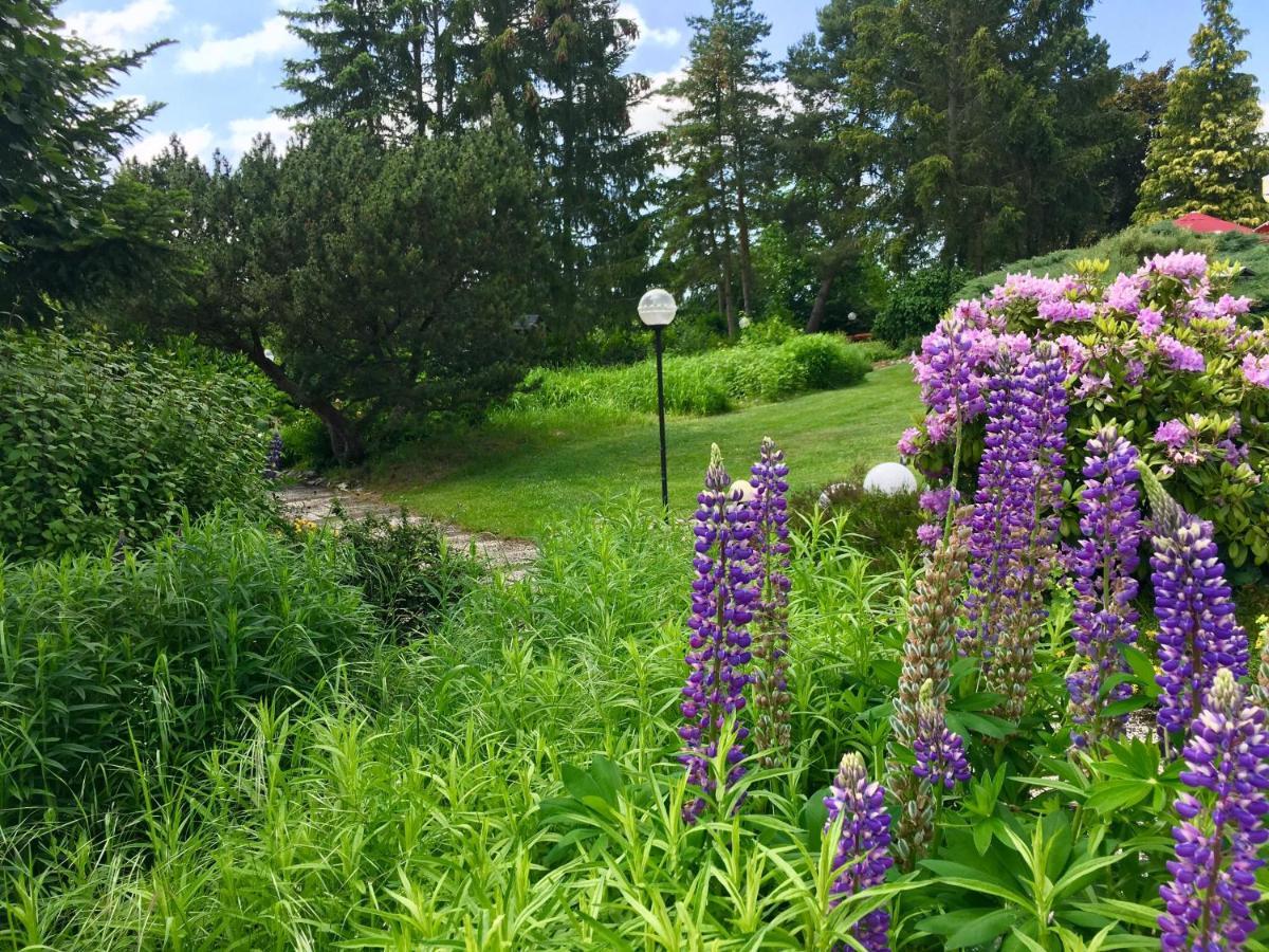Landhotel Hubertus Unterelsbach 외부 사진