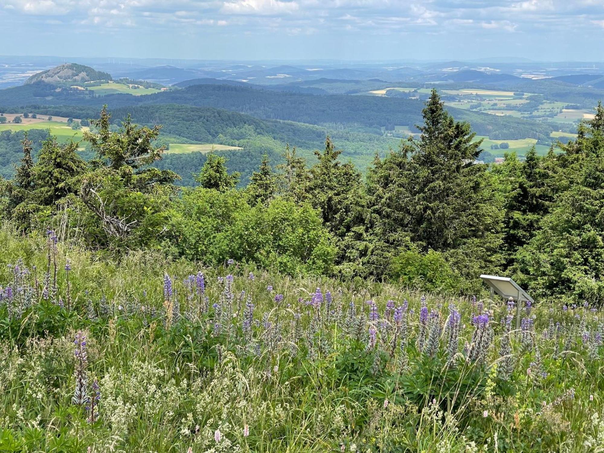 Landhotel Hubertus Unterelsbach 외부 사진